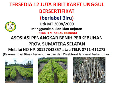 FORUM KOMUNIKASI PBT: Oktober 2008