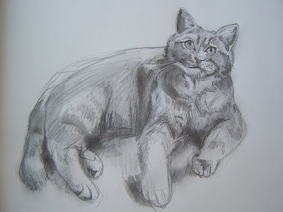 miscellaneous drawings: Cat drawing
