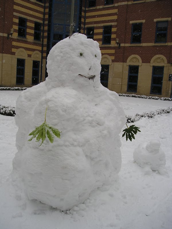 [snowman+closeup.jpg]