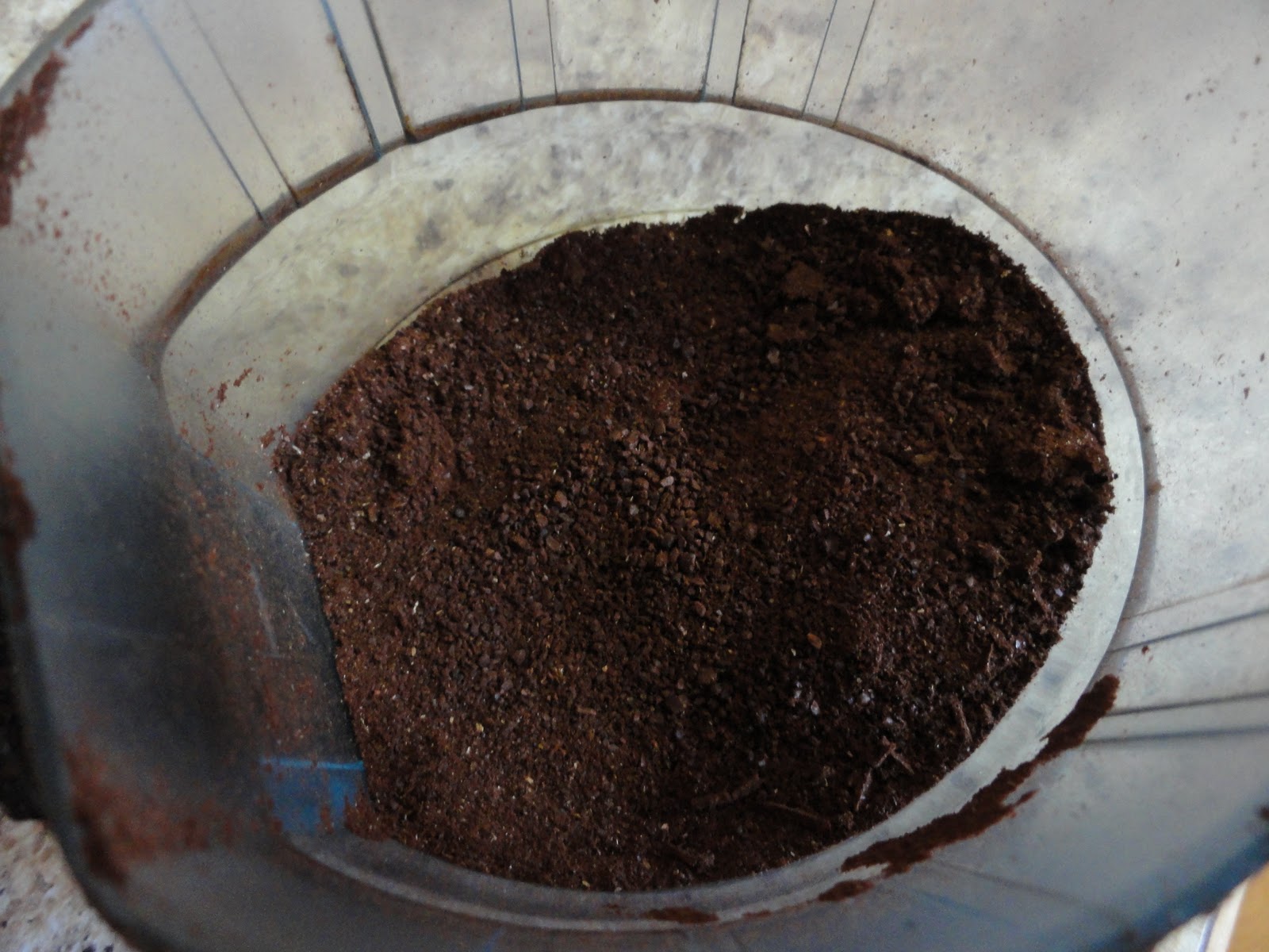 It's a Quest for Fun Espresso Chocolate Chip Cookies