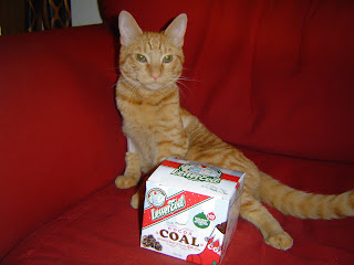 coal for christmas!! but he hasn't been *that* naughty... he only ate that one little christmas light... just the one!