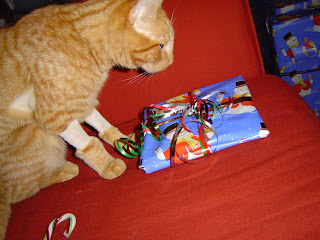 max checking out his first ever christmas prezzy