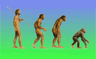 devolution.gif