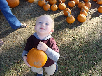 Picking out his pumpkin from a pumpkin patch