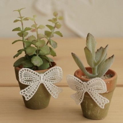 [cute+flower+pots.jpg]