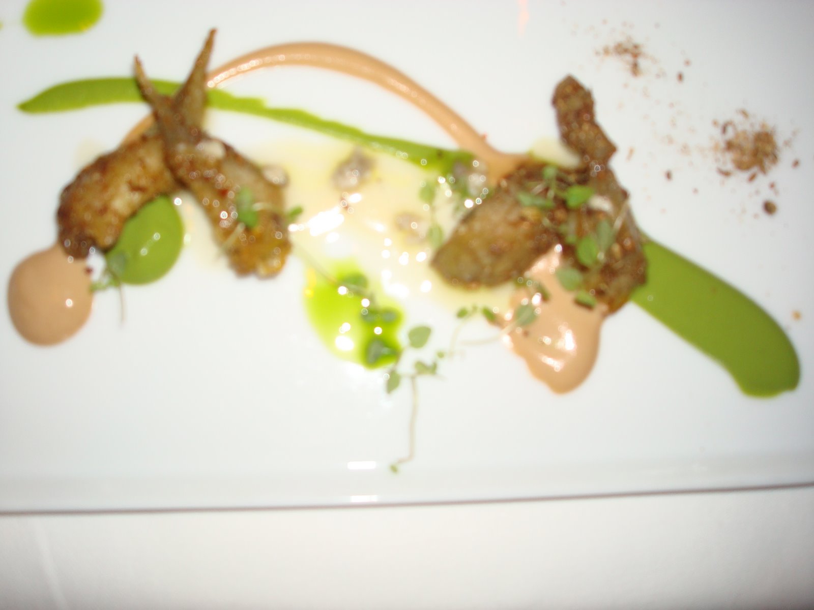[DSC04251.JPG]