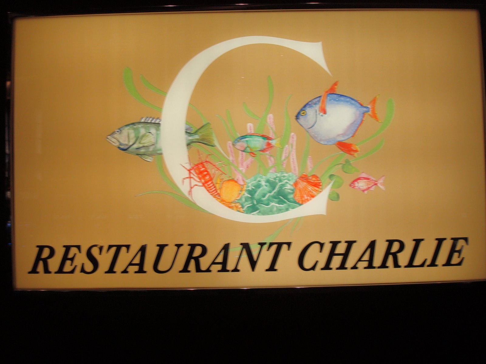 [DSC04192.JPG]
