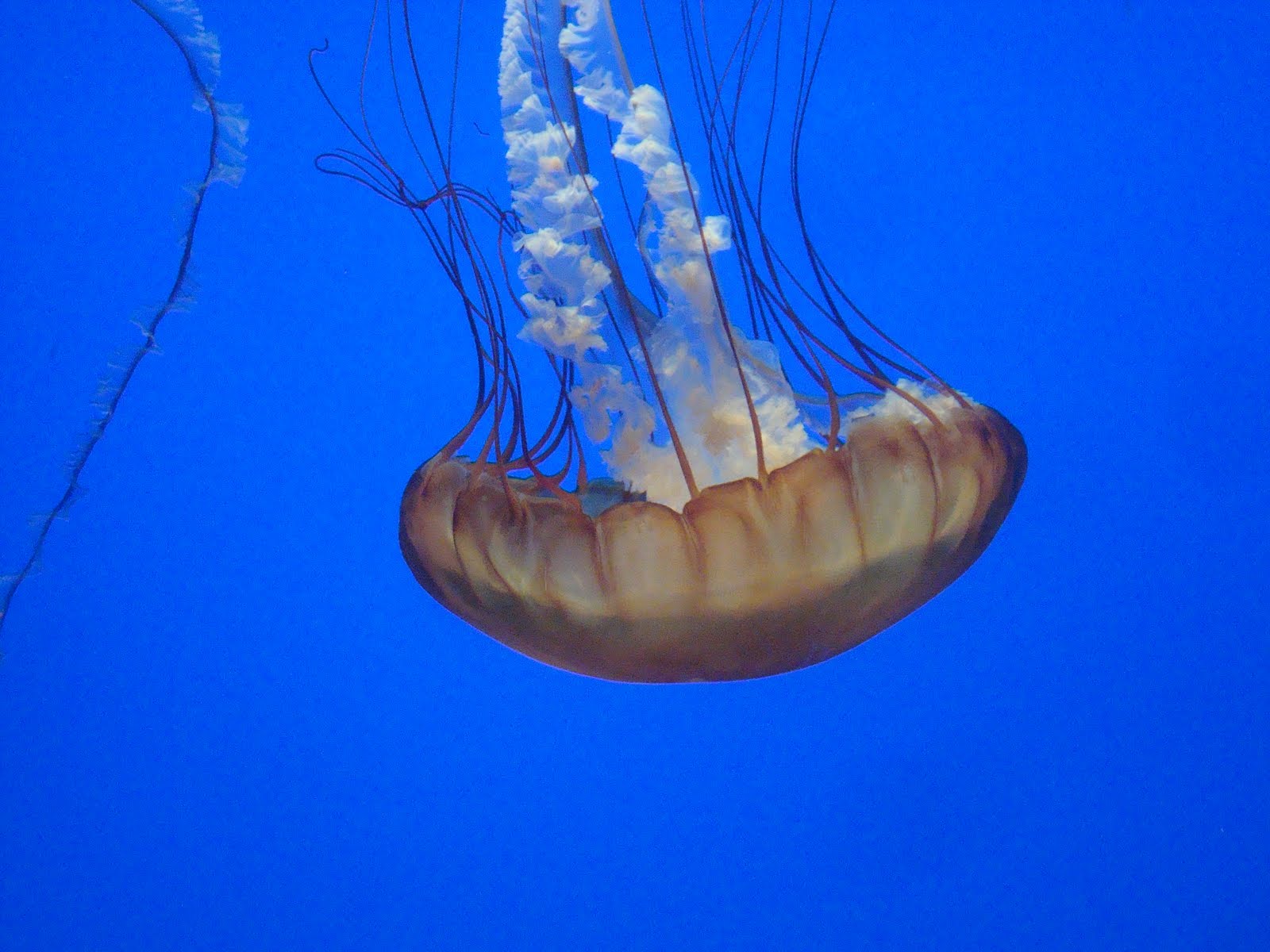 [DSC06759.JPG]