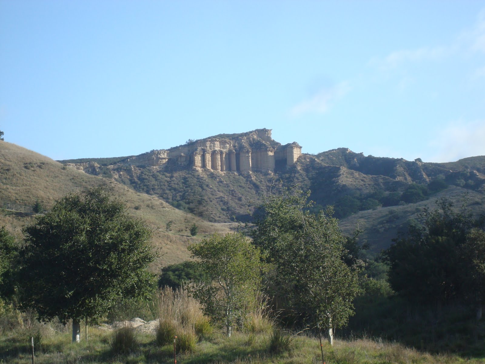 [DSC06810.JPG]