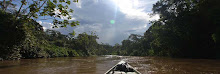 Amazonia contiene un quinto del agua dulce del mundo
