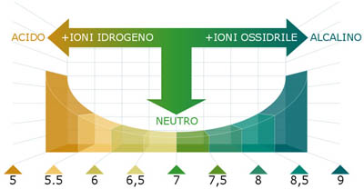 El ph acido y basico