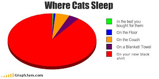 funny image gallery more pie chart humor lol pie chart humor