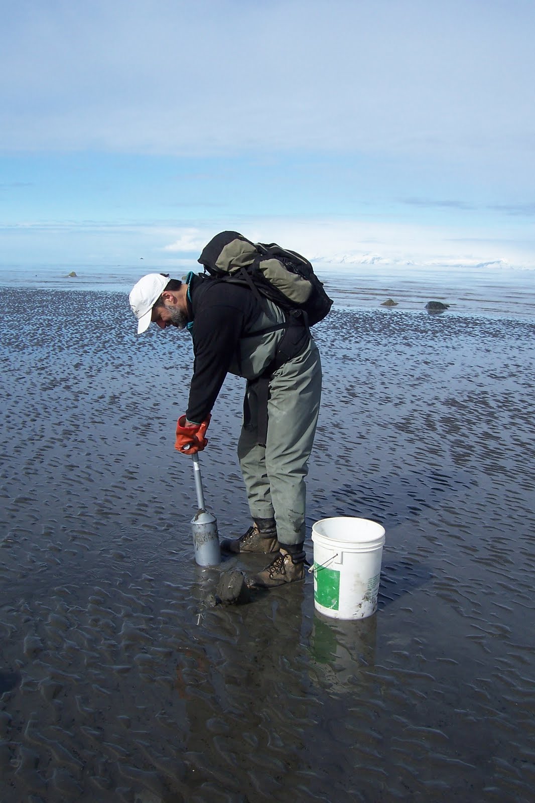 Beaver Creek Cabins & Guide Service Digging Razor Clams