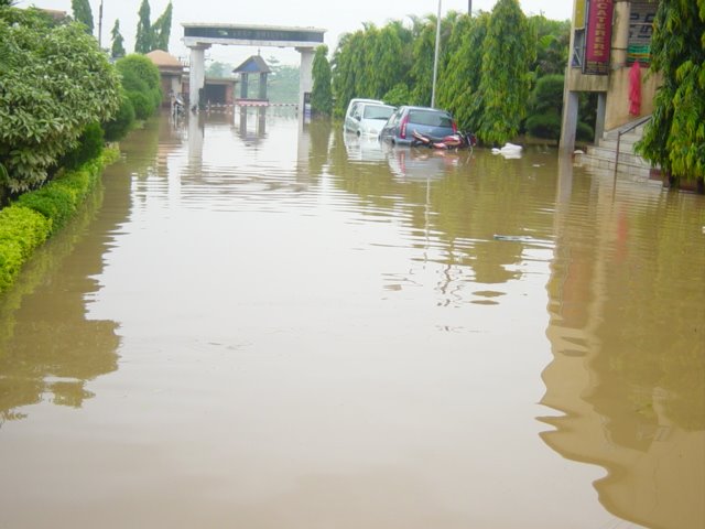 [DSC01616.jpg]
