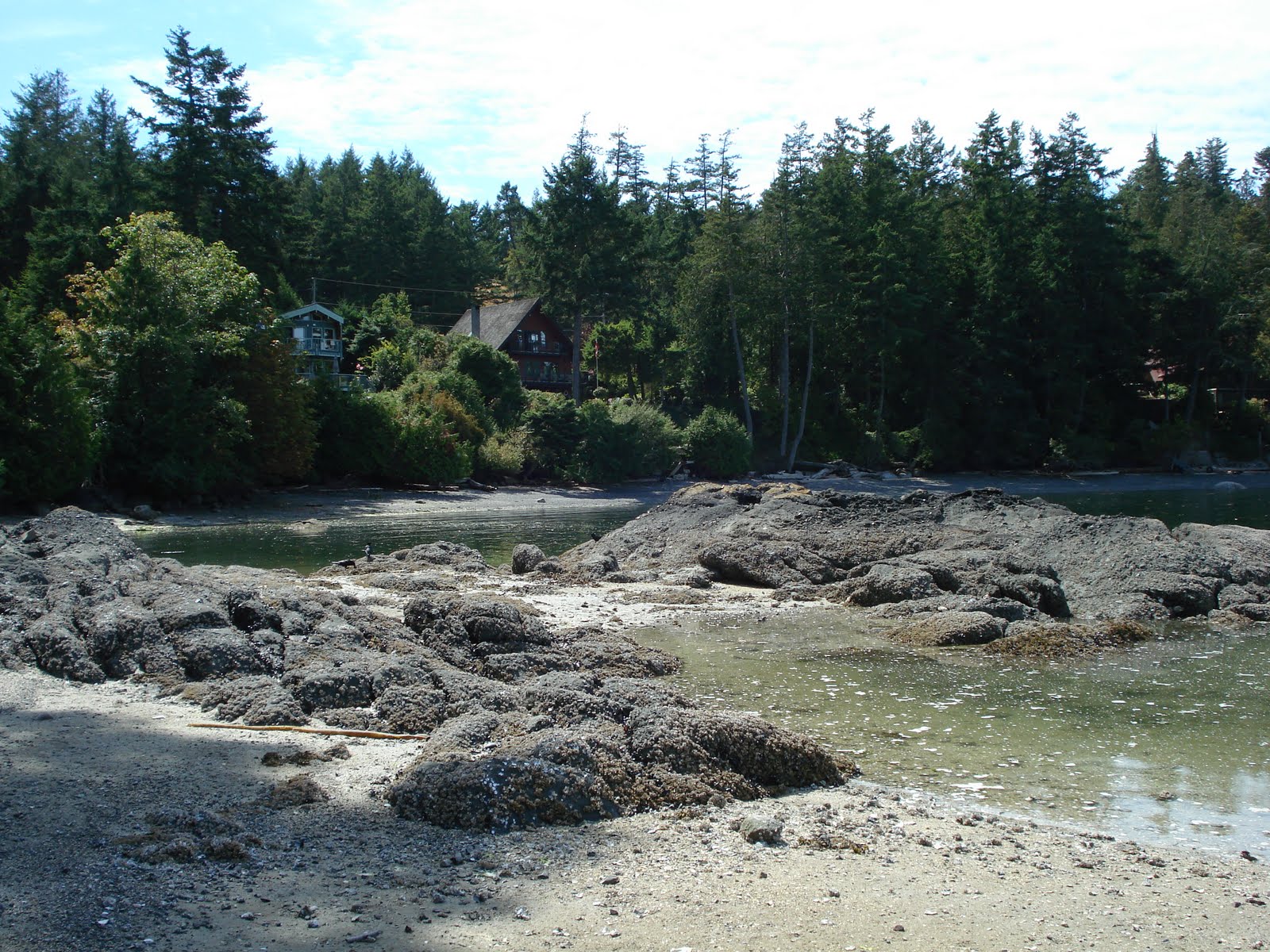 Ravenous Rowie Exercise and More Blueberries