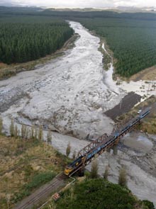 [new-zealand-mud-cp-2671363.jpg]