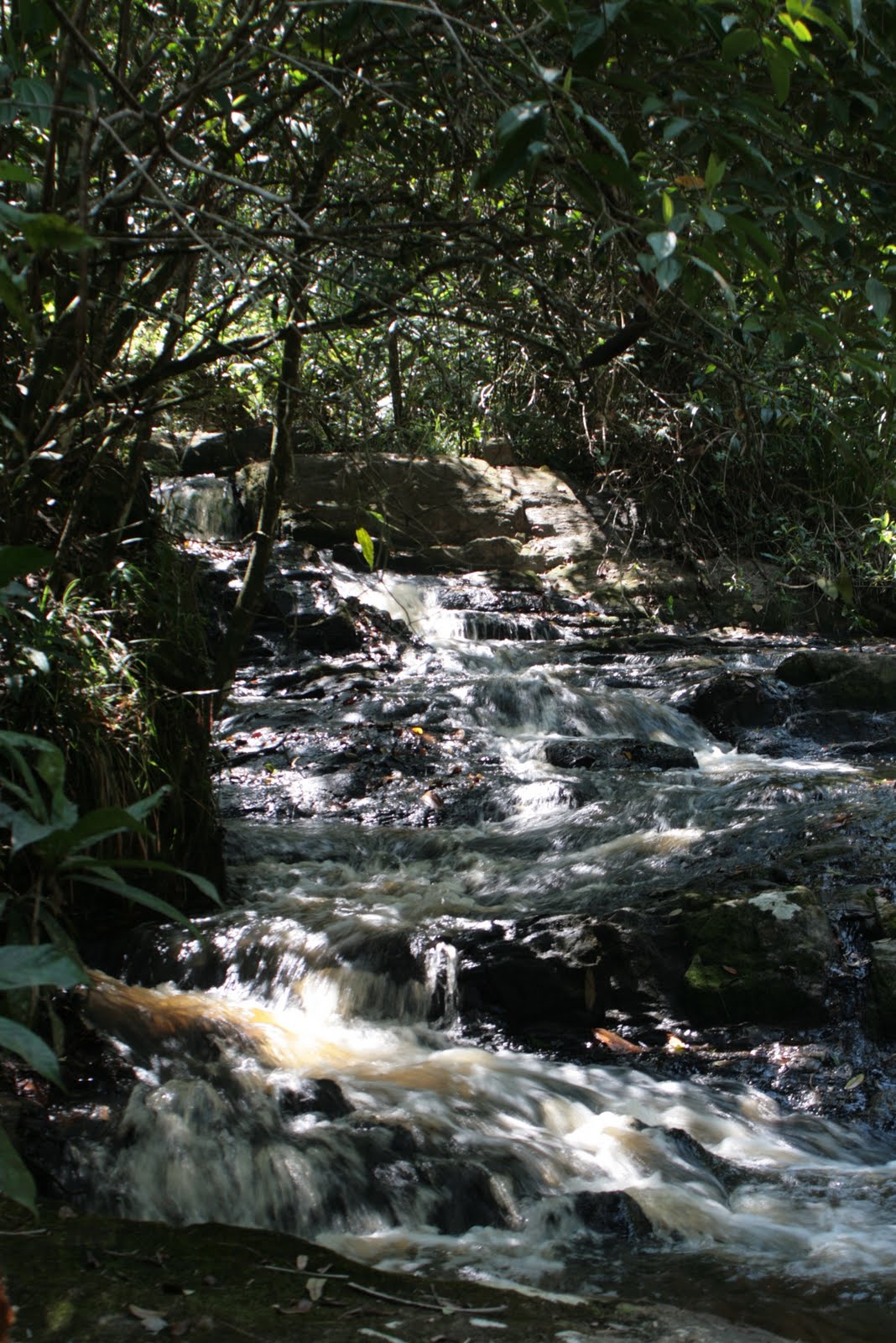 [COVA+DA+ONÇA+(13).jpg]