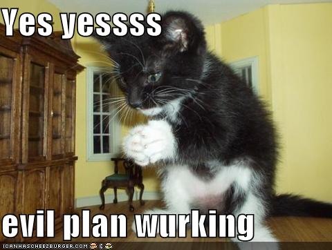 funny-pictures-your-cats-evil-plan-is-working.jpg