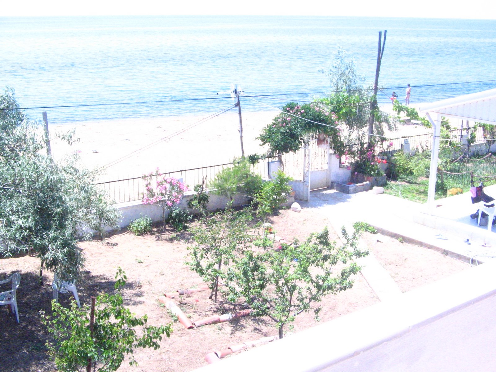 [fıstıklı+pansiyon.JPG]