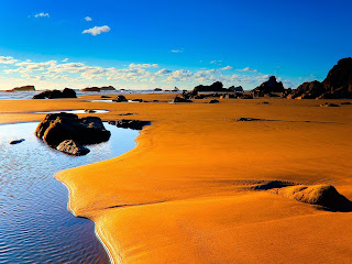 Orange Sand Beach Nature HD Wallpaper