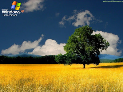 Windows XP Standard Resolution Wallpaper 35