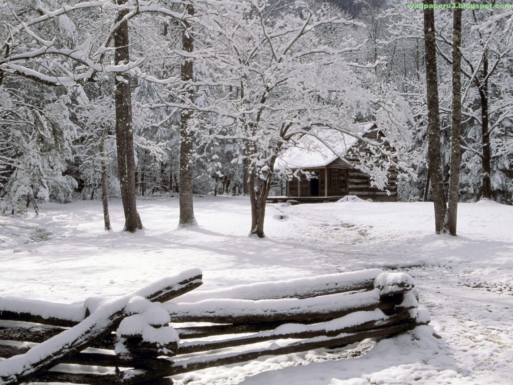 wallpaperforwalls: Winter Season Wallpapers