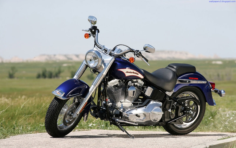 Harley Davidson Bike Widescreen Wallpaper 3