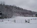 Winter in the pasture