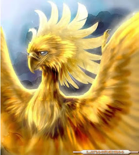 fenix_perfil.jpg
