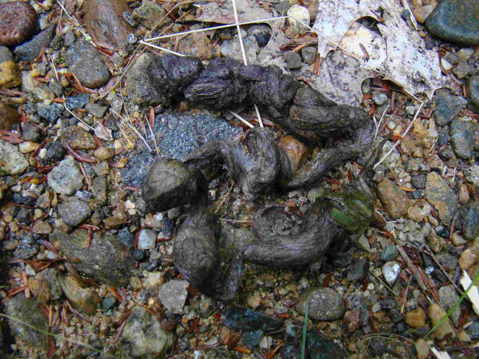 Lake Wicwas Nature Journal September 2010