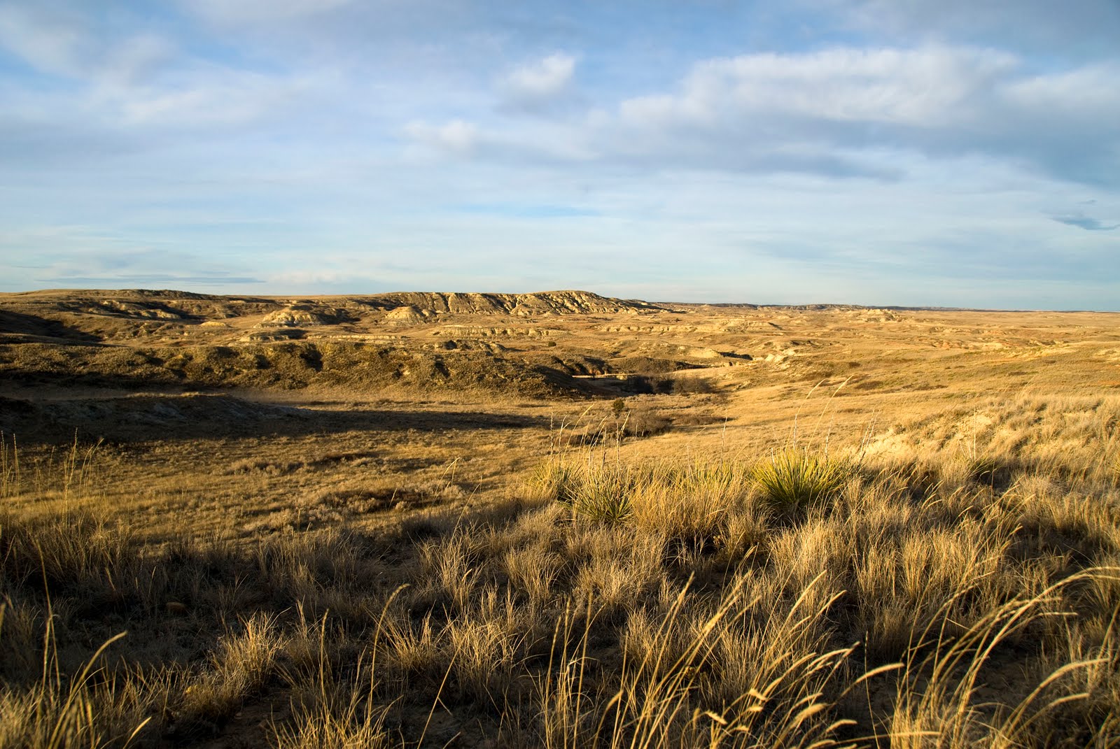 BirdManBob Eastern Montana The Natural and Cultural