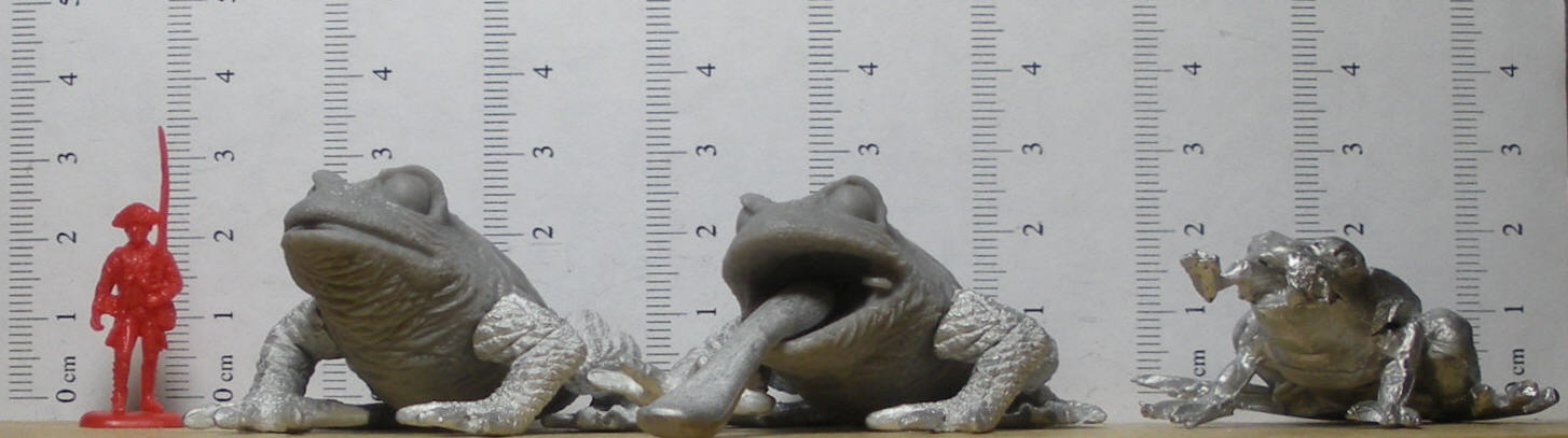 [DSCN3751.jpg]
