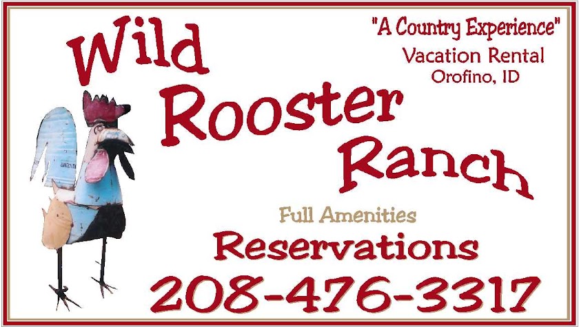 Wild Rooster Vacation Ranch