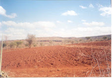 Dry farms in Mombuni Village