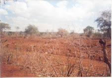 Desolate farms