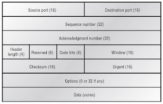 TCP and UDP ~ USA Networking