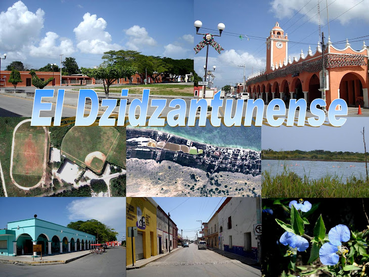 El Dzidzantunense