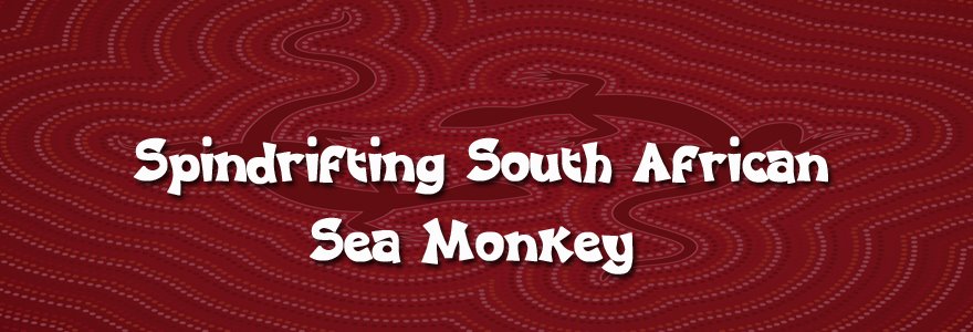 Spindrifting South African sea monkey