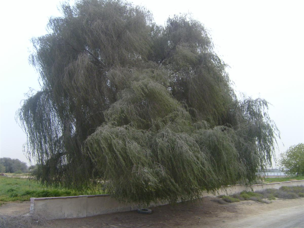 [S7000850-705793.JPG]