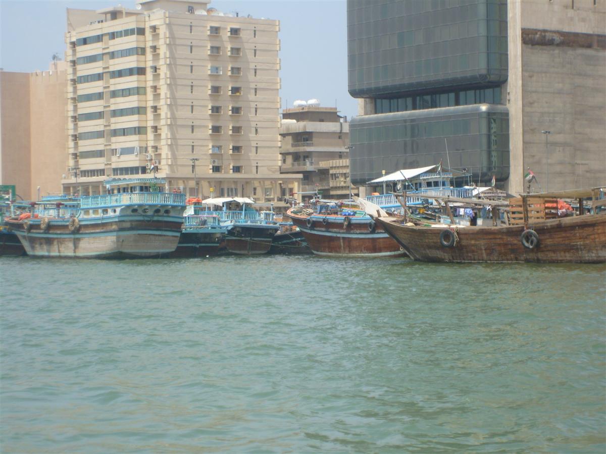 [S7000914-708478.JPG]