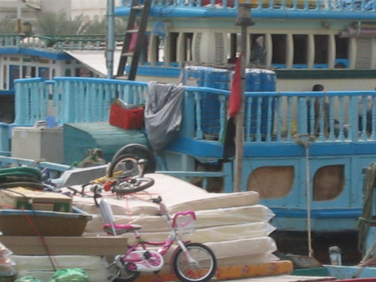 [IMG_5447-719652.JPG]