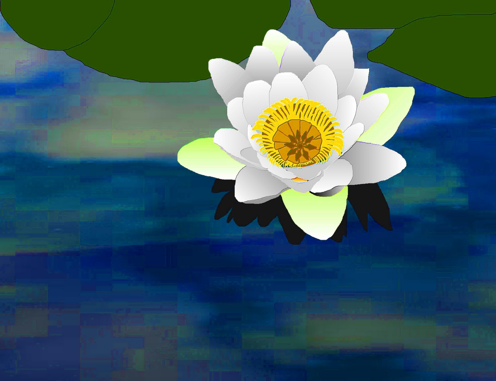 Water Lily Drawing