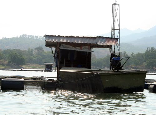 [perahu+alluminum+wongiri+3.jpg]