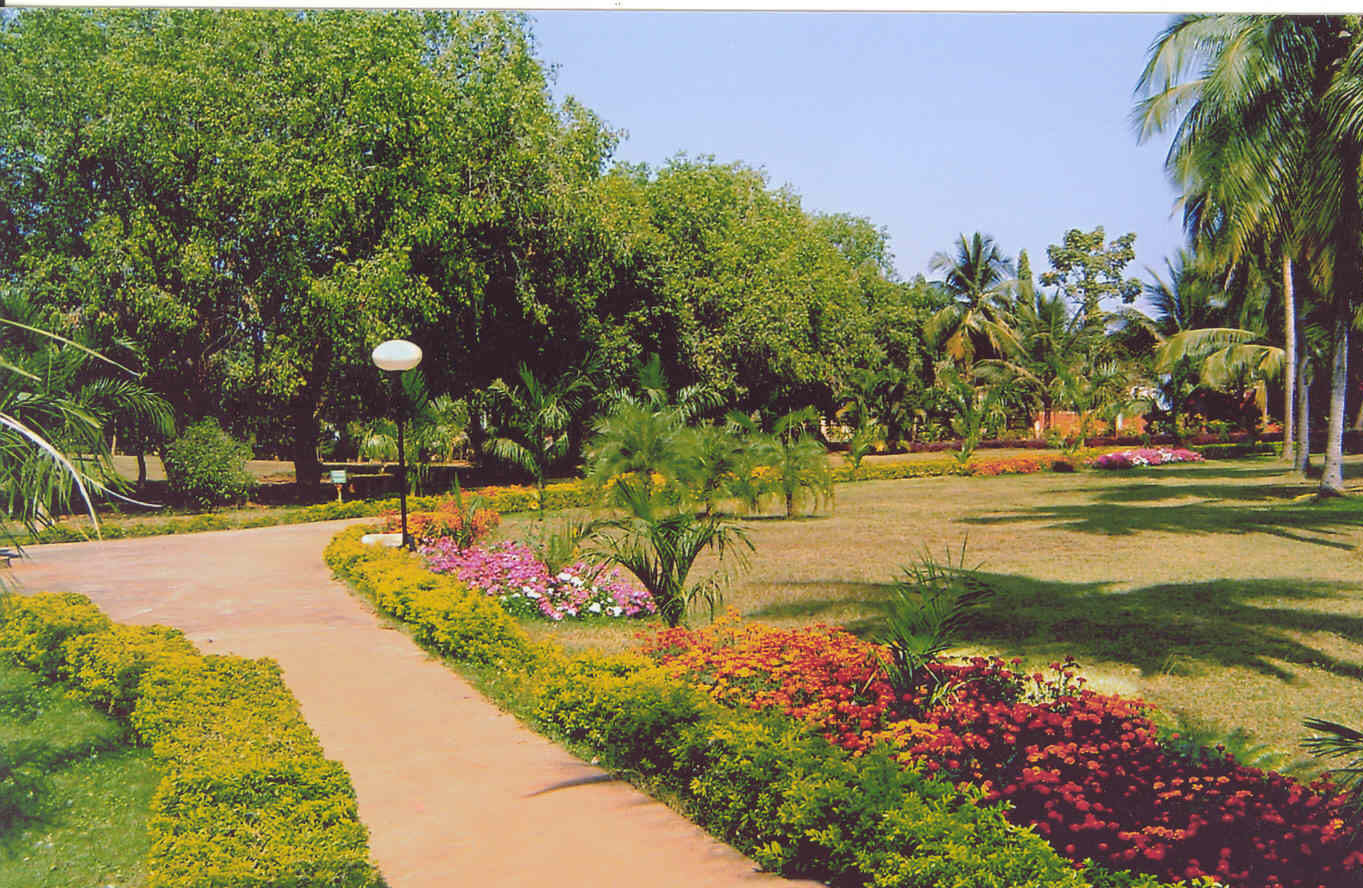 Mount Abu Travel Guide Peace Park