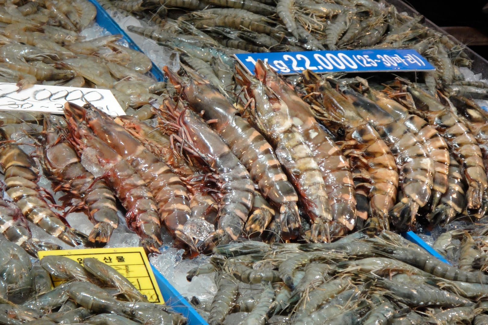 Not Just Kimchi: A Whole New Meaning to Shrimp Scampi