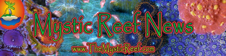 Mystic Reef News