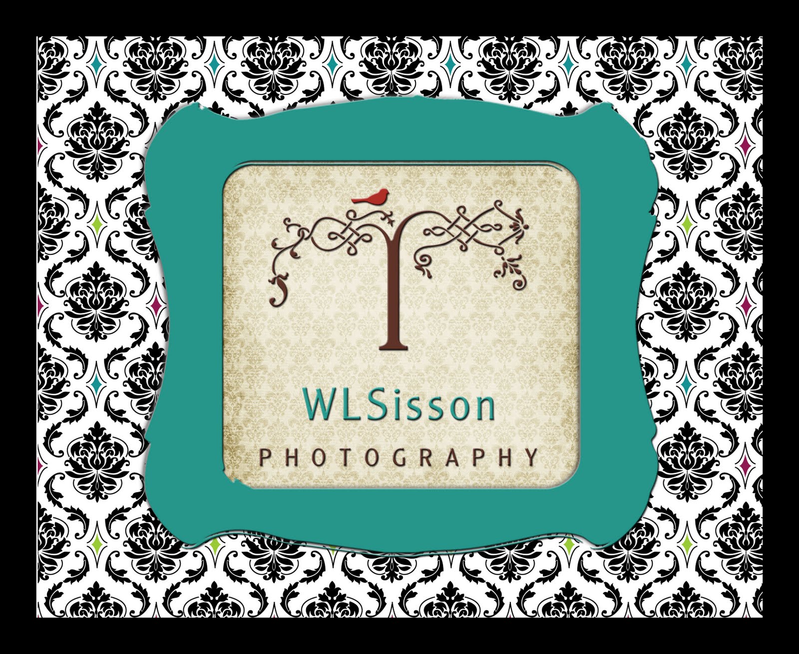 WLSisson Photography