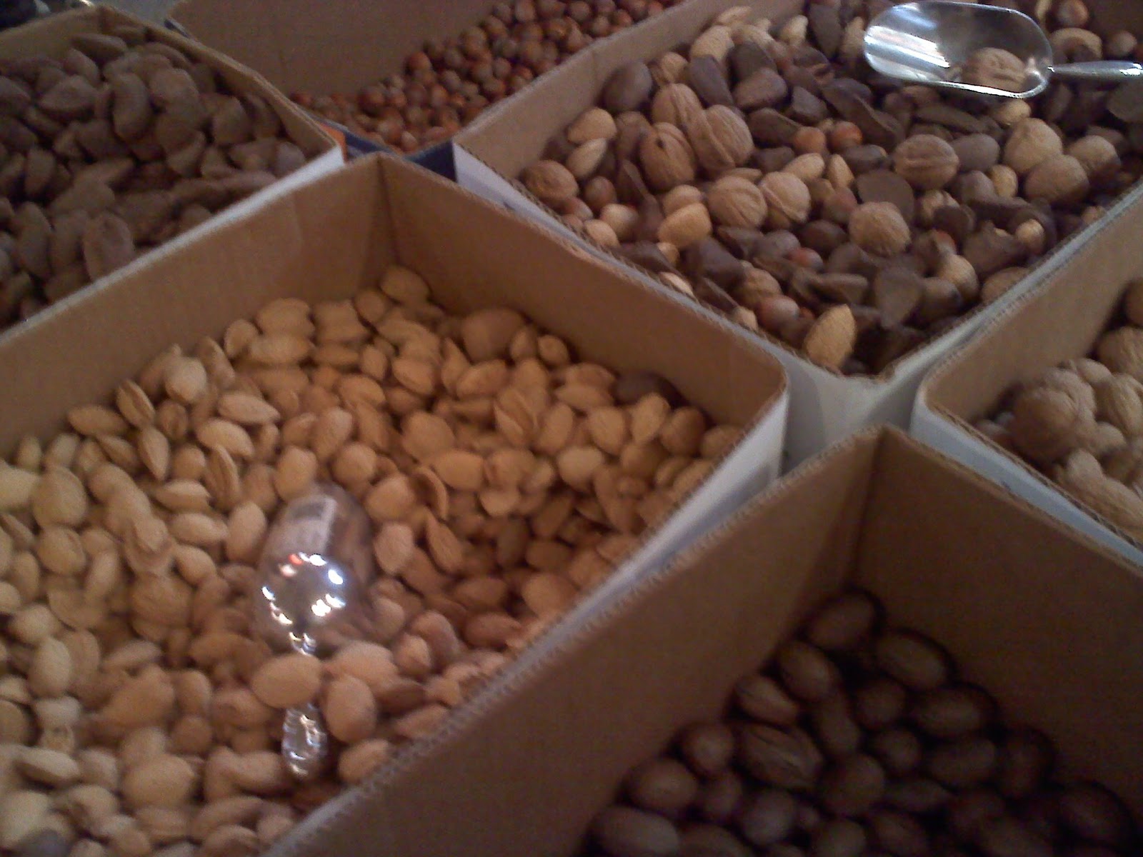 Philly Food Lovers Nuts about Nuts (...and a Chocolate Drizzle)