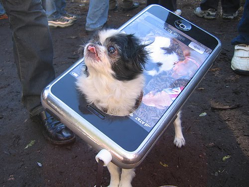 [perrro_iphone.jpg]
