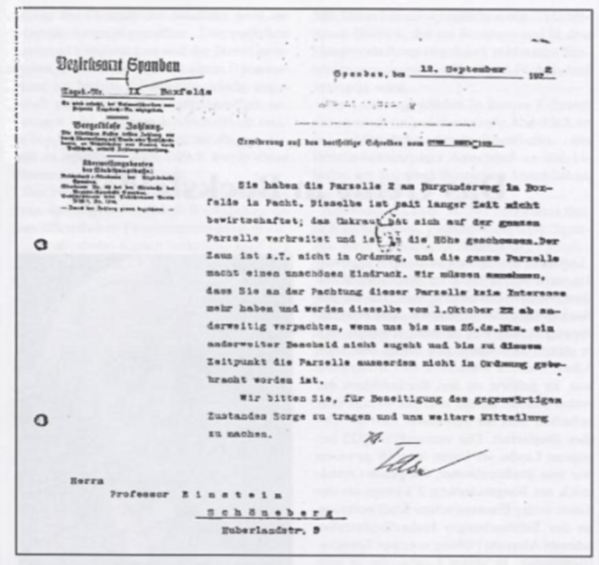 [bezirksamt_spandau.jpg]